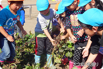 ���Ĥޤ��ⷡ��